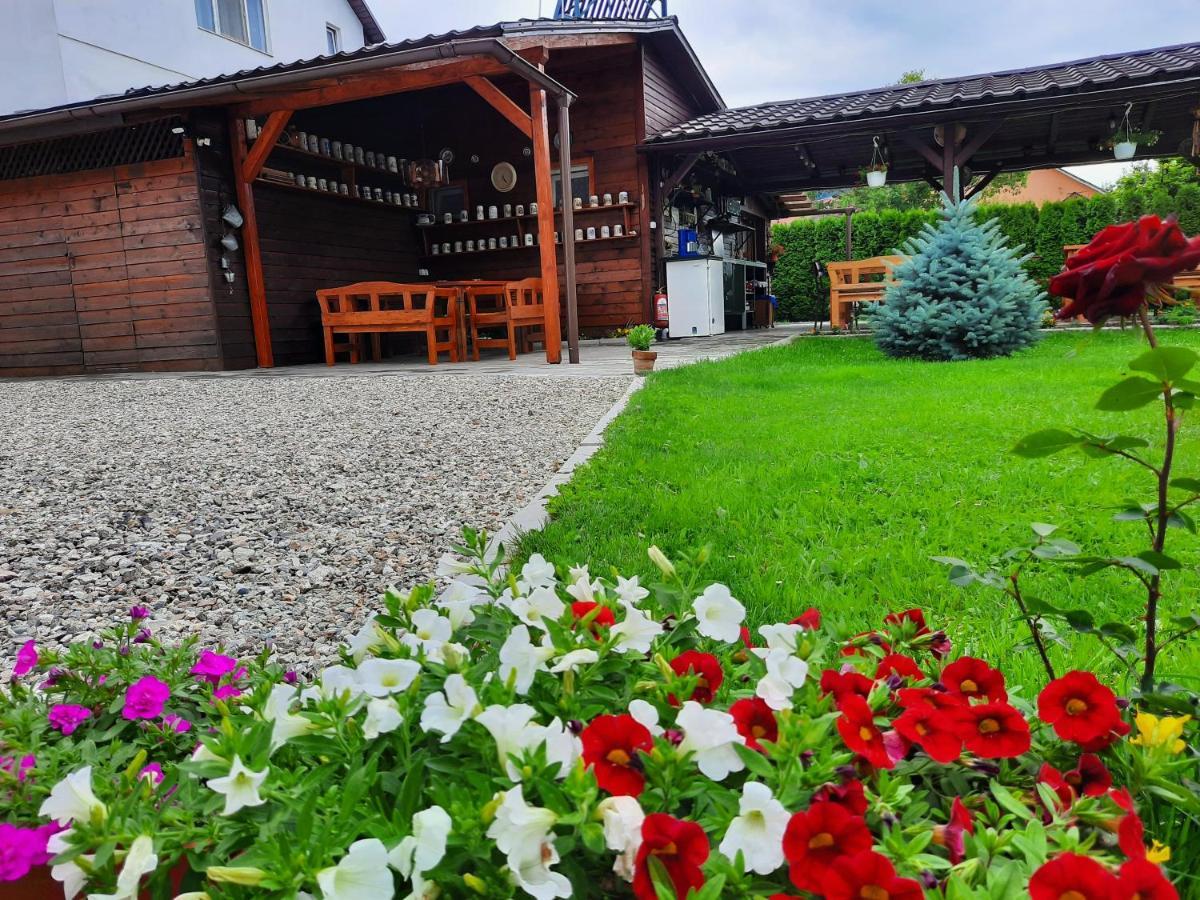 Casa Melinda * Vişeu de Sus